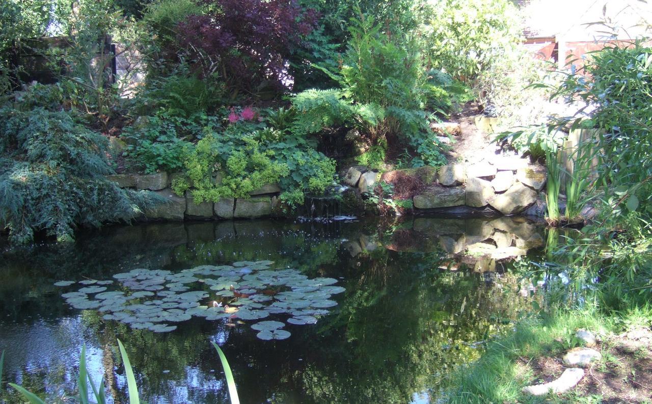 Lime Trees Farm Bed and Breakfast Bicester Exteriör bild