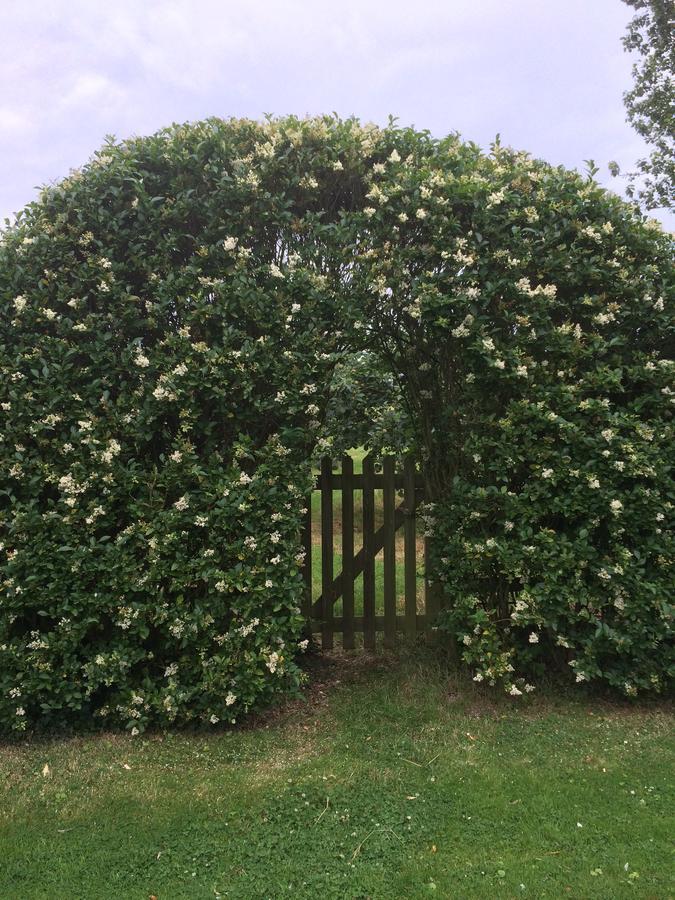 Lime Trees Farm Bed and Breakfast Bicester Exteriör bild